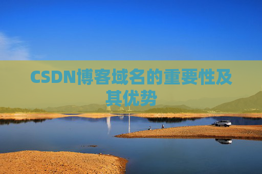 CSDN博客域名的重要性及其优势